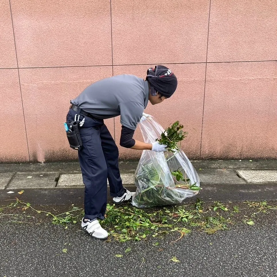 ✨【台風10号(サンサン)の影響に伴い清掃活動をしました】✨