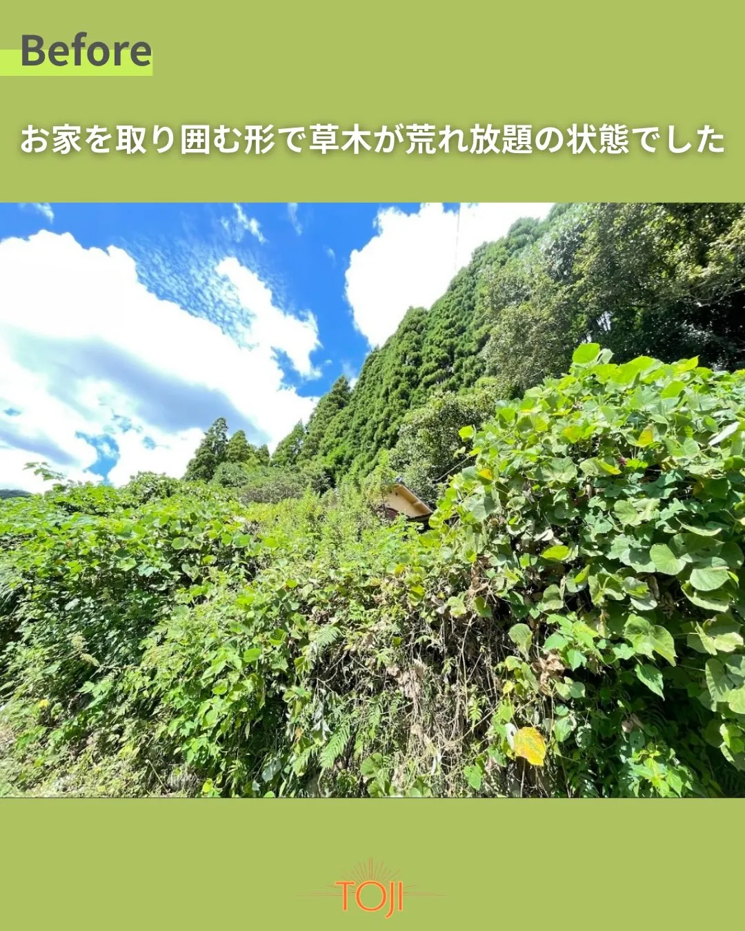✨【草木に覆われた敷地の伐採作業〜前編〜】✨