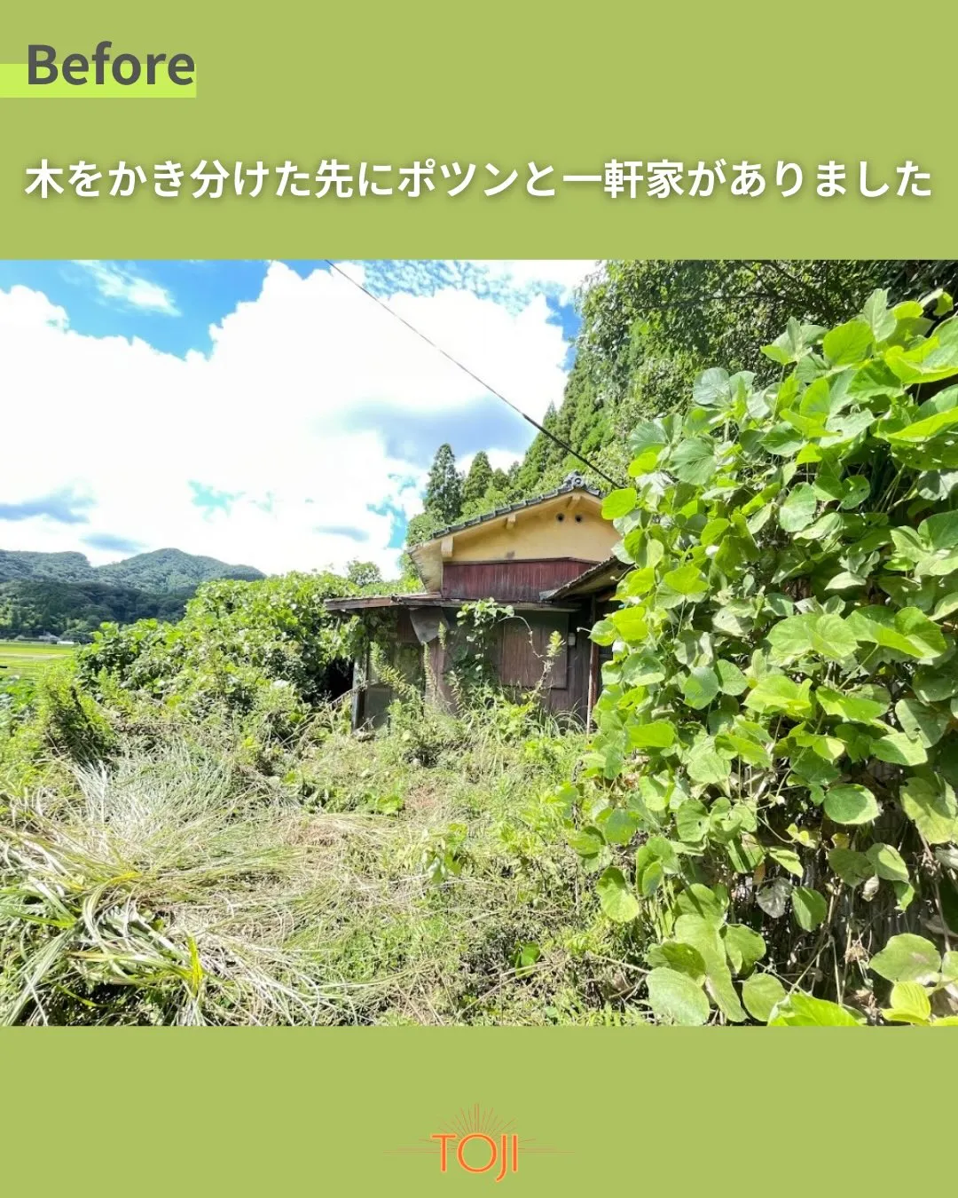 ✨【草木に覆われた敷地の伐採作業〜前編〜】✨