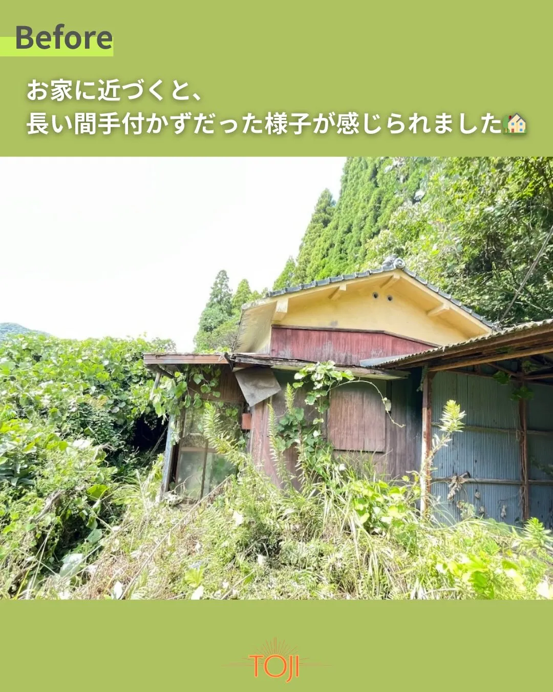 ✨【草木に覆われた敷地の伐採作業〜前編〜】✨