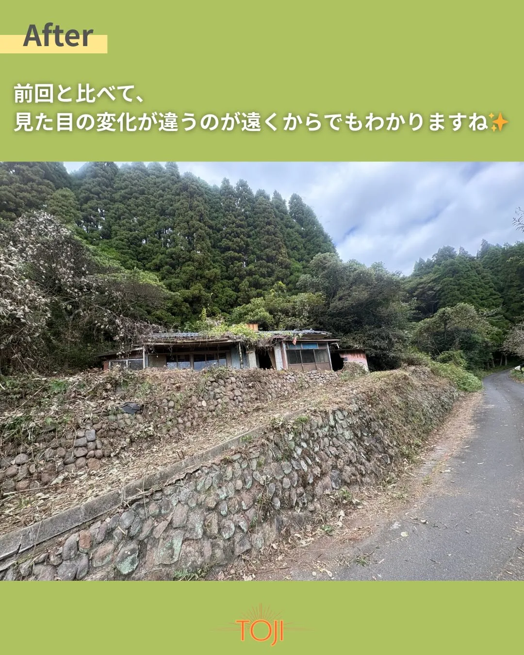 ✨【草木の伐採作業が完了しました〜中編〜】✨