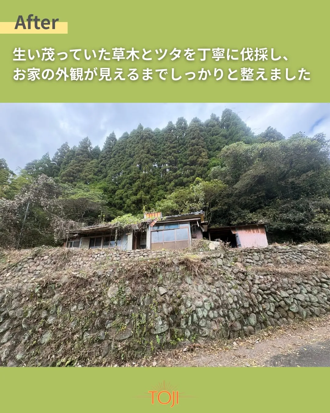 ✨【草木の伐採作業が完了しました〜中編〜】✨