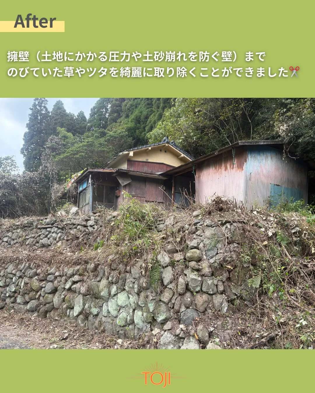 ✨【草木の伐採作業が完了しました〜中編〜】✨
