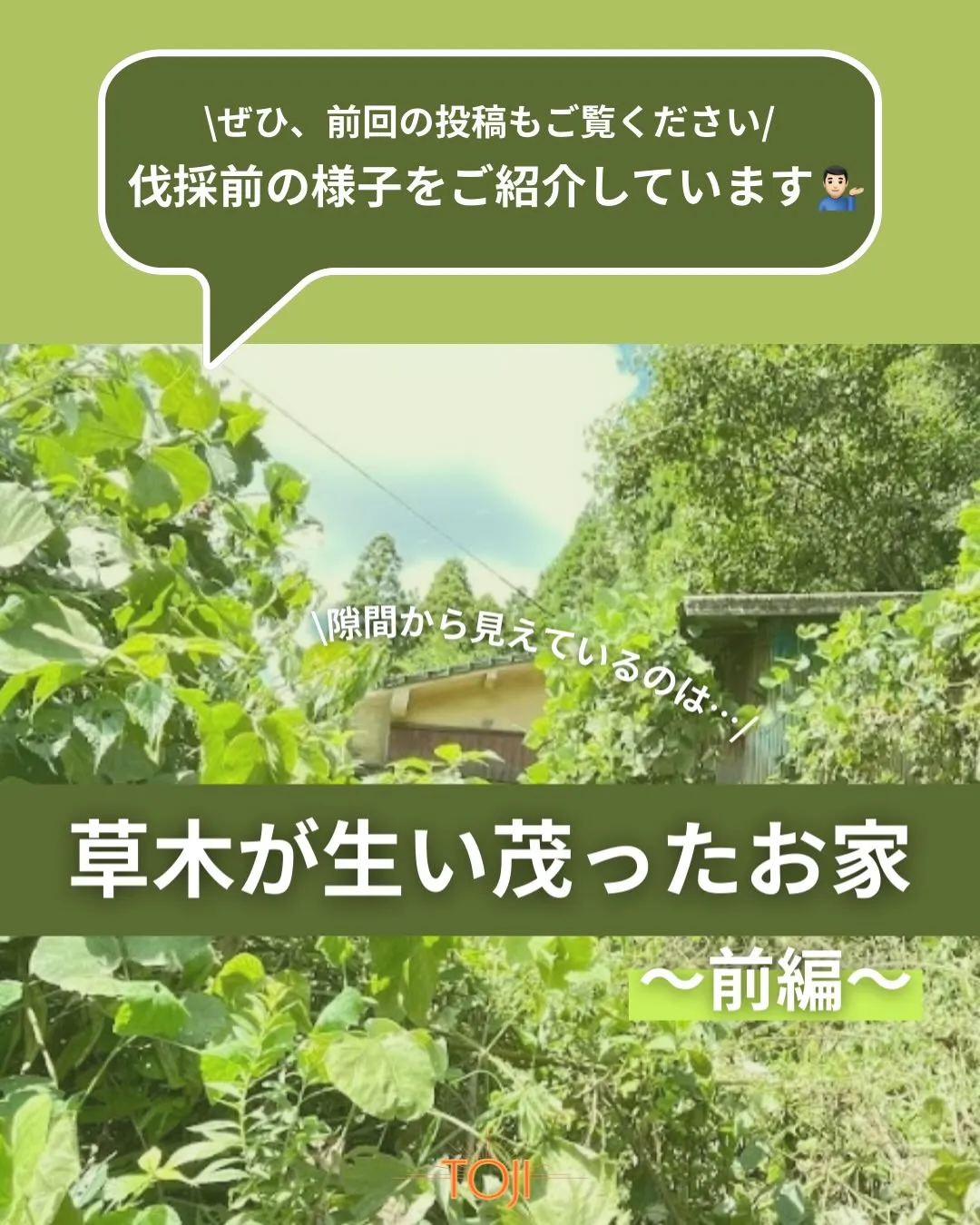 ✨【草木の伐採作業が完了しました〜中編〜】✨
