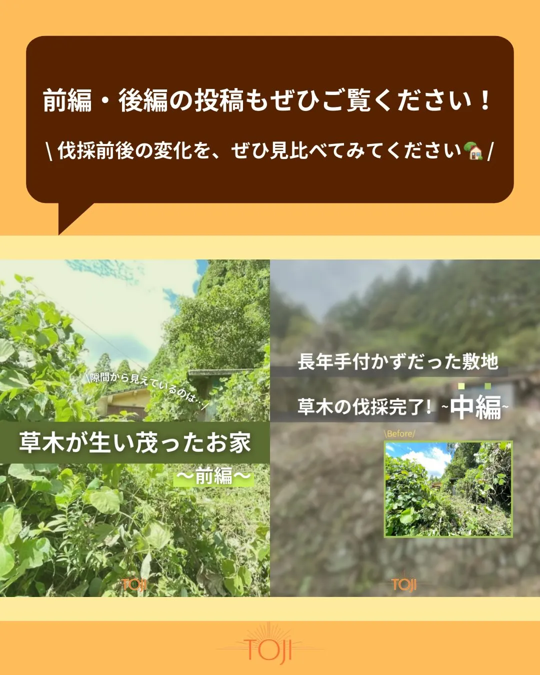 ✨【空き家に新しい役割を燈す〜遺品整理会社の空き家再生物語〜...