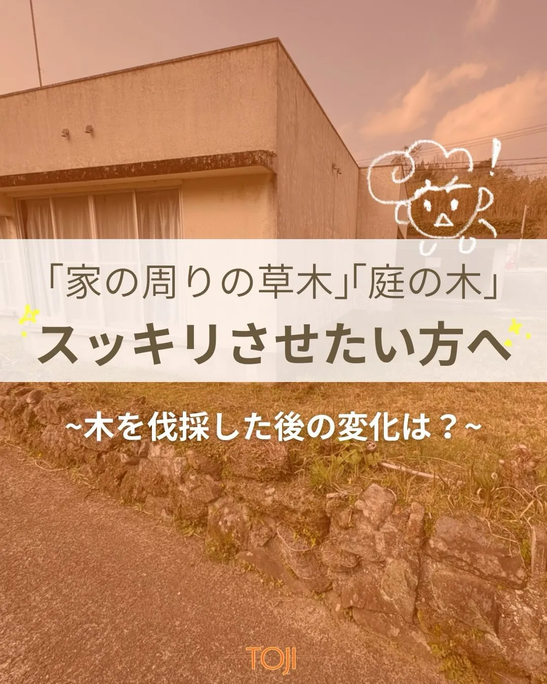 ✨【木の伐採をさせていただきました！作業後の様子をご覧くださ...