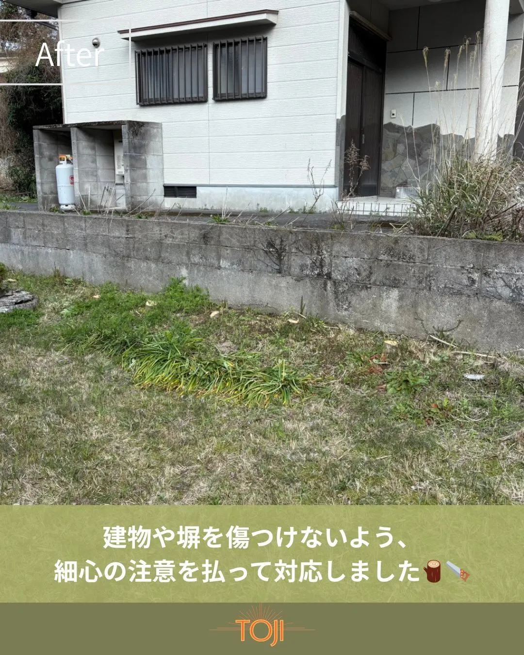 ✨【木の伐採をさせていただきました！作業後の様子をご覧くださ...