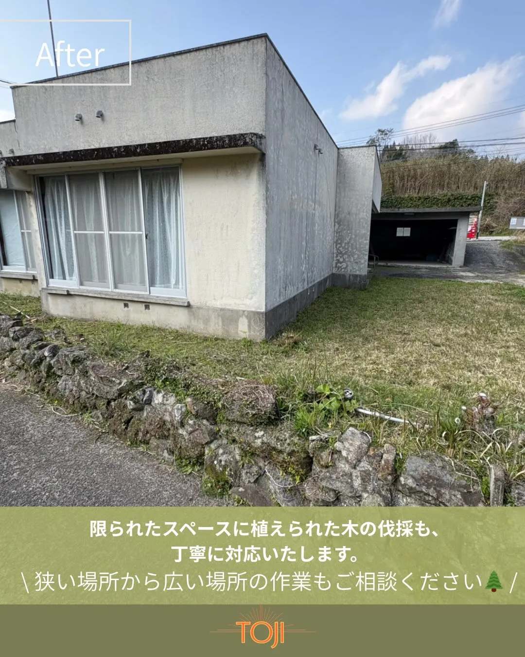✨【木の伐採をさせていただきました！作業後の様子をご覧くださ...
