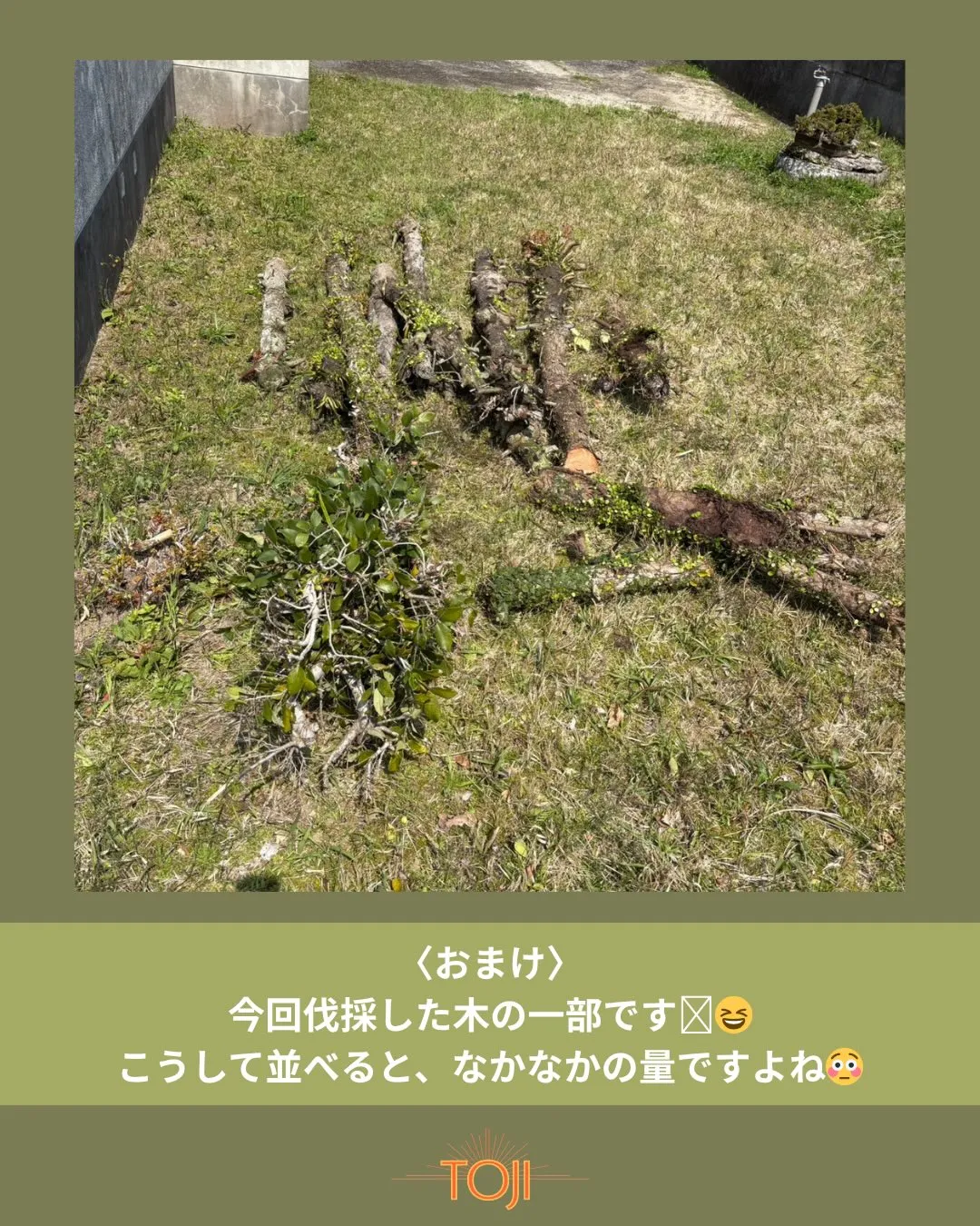 ✨【木の伐採をさせていただきました！作業後の様子をご覧くださ...